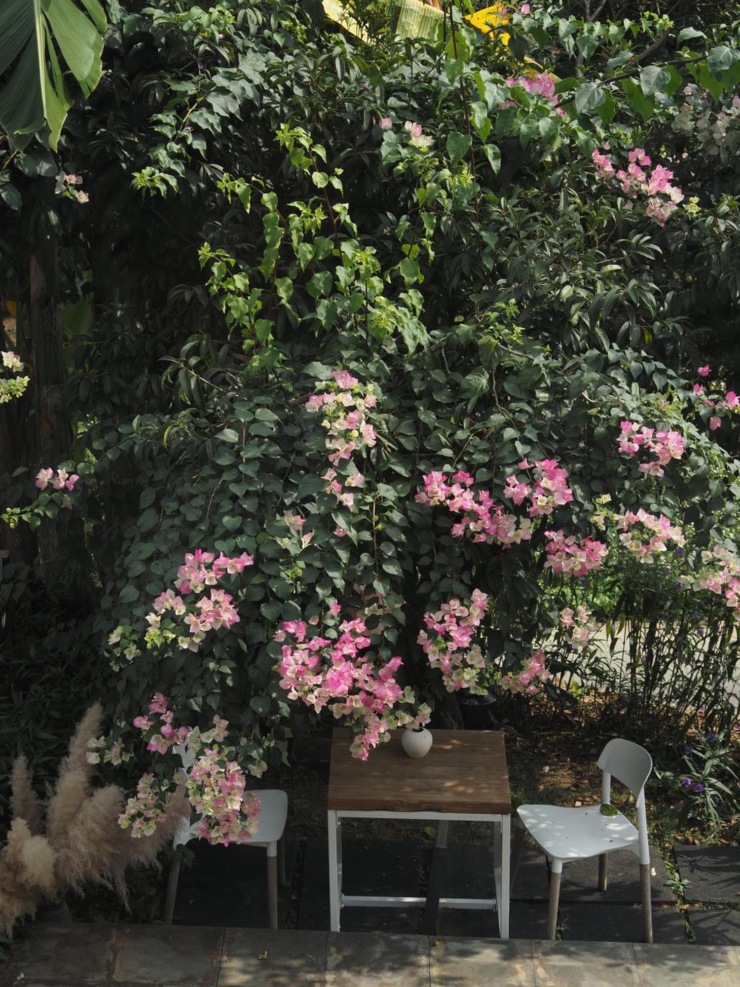Yangshuo Hillside Homestay Exterior foto