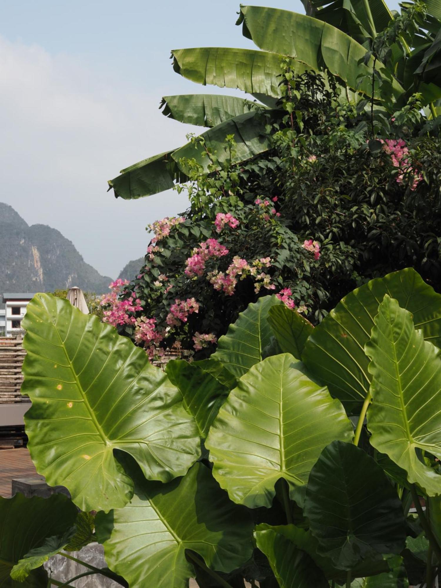 Yangshuo Hillside Homestay Exterior foto